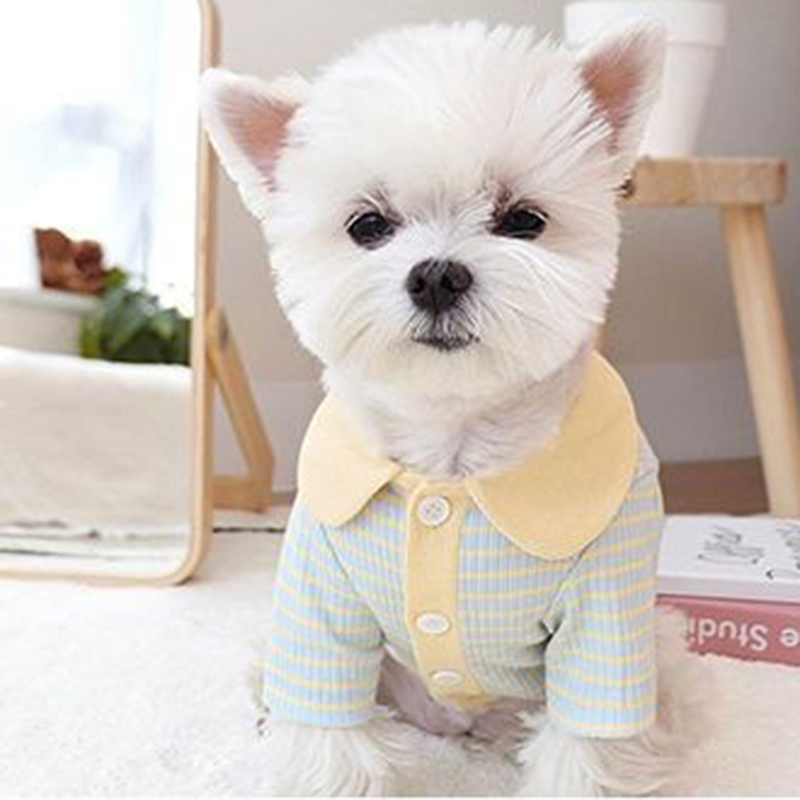 Striped Polo Shirt for Stylish Cats and Dogs