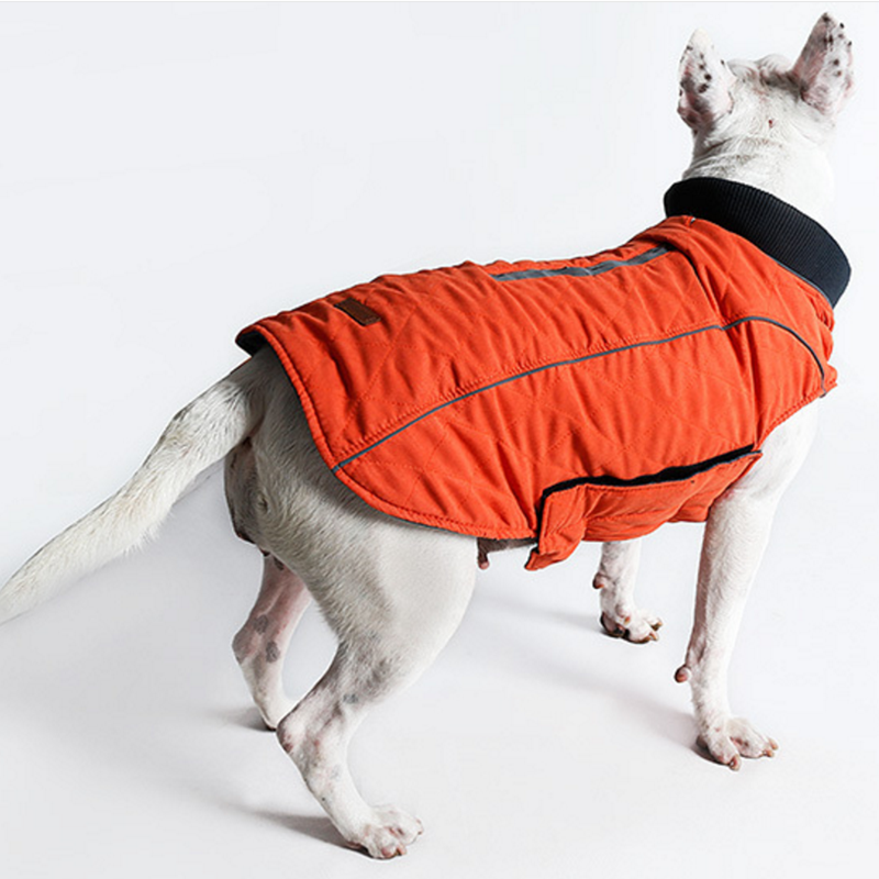 Kawaii Winter Dog Jacket - Thick Retro Pet Clothing