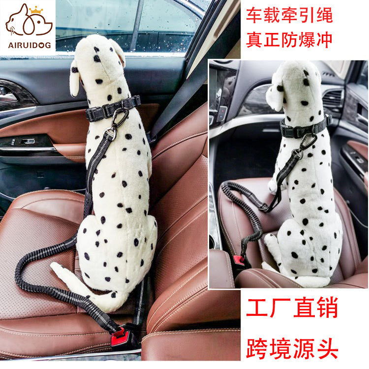 Cross-Border Dog Leash with Safety Features and Training