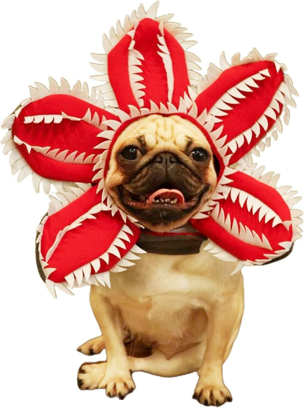 Pet  Flower Costume  Accessories