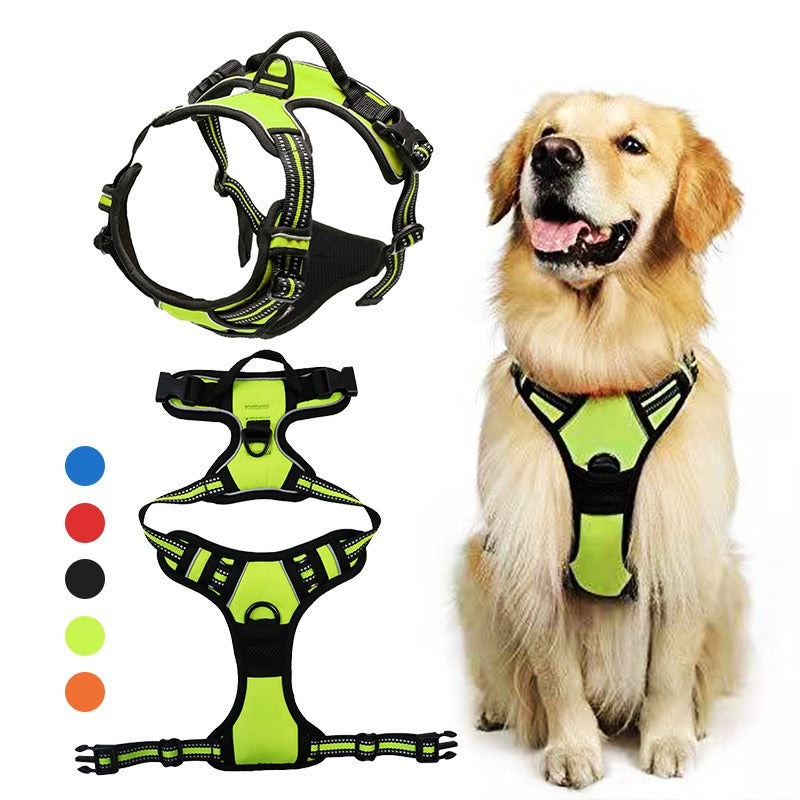 Nylon Dog Harness & Leash Set