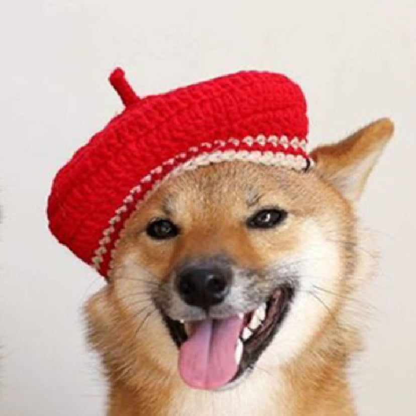 Cute DIY Mini Hand-Knitted Mixed Color Beret for Pets