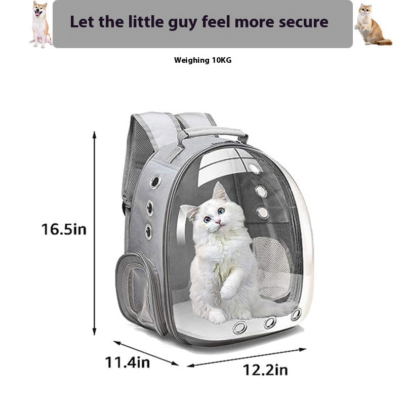 Transparent Cat Backpack