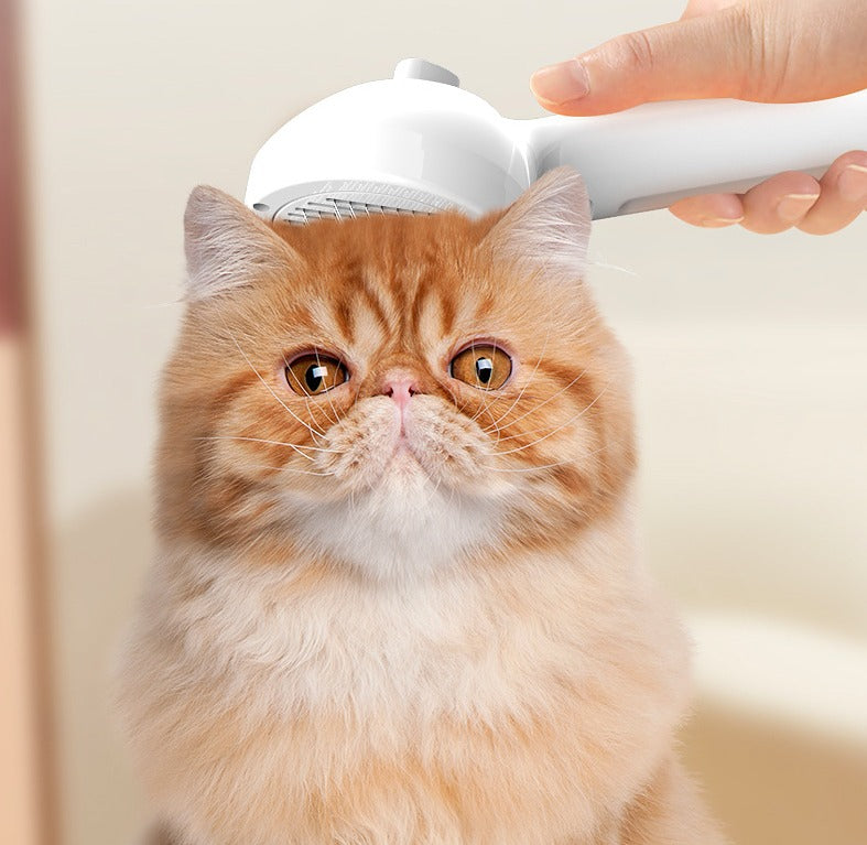 Pet Self-Cleaning Brush