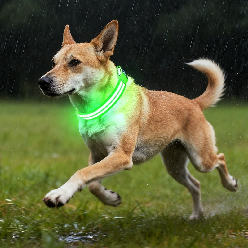 LED Light Up Dog Collar