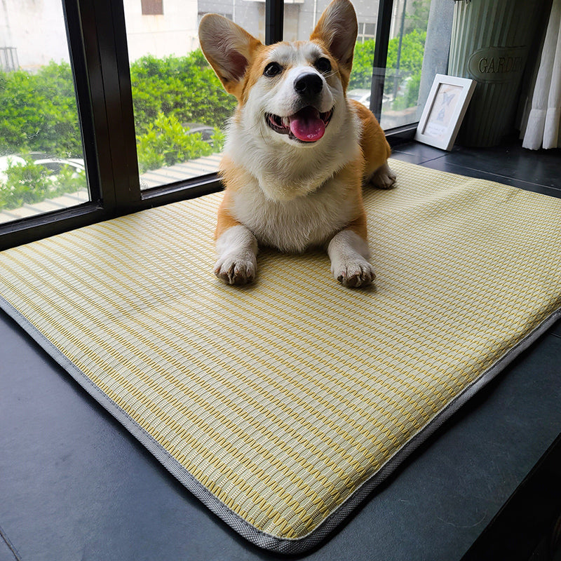 Summer Anti-Bite Dog and Cat Sleeping Mat