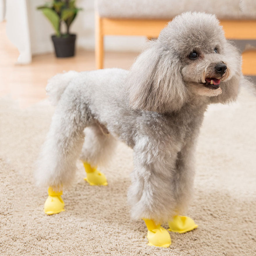 Jelly Rain Boots - 4 Waterproof Foot Covers