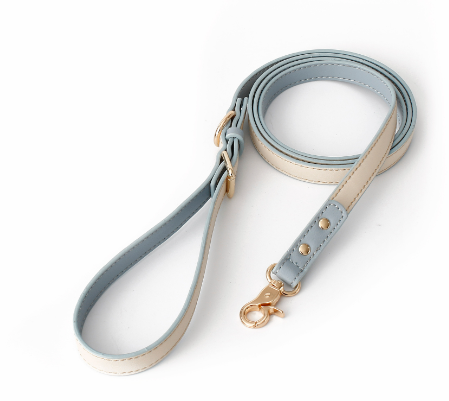 Retro Dog Collar with Traction Rope