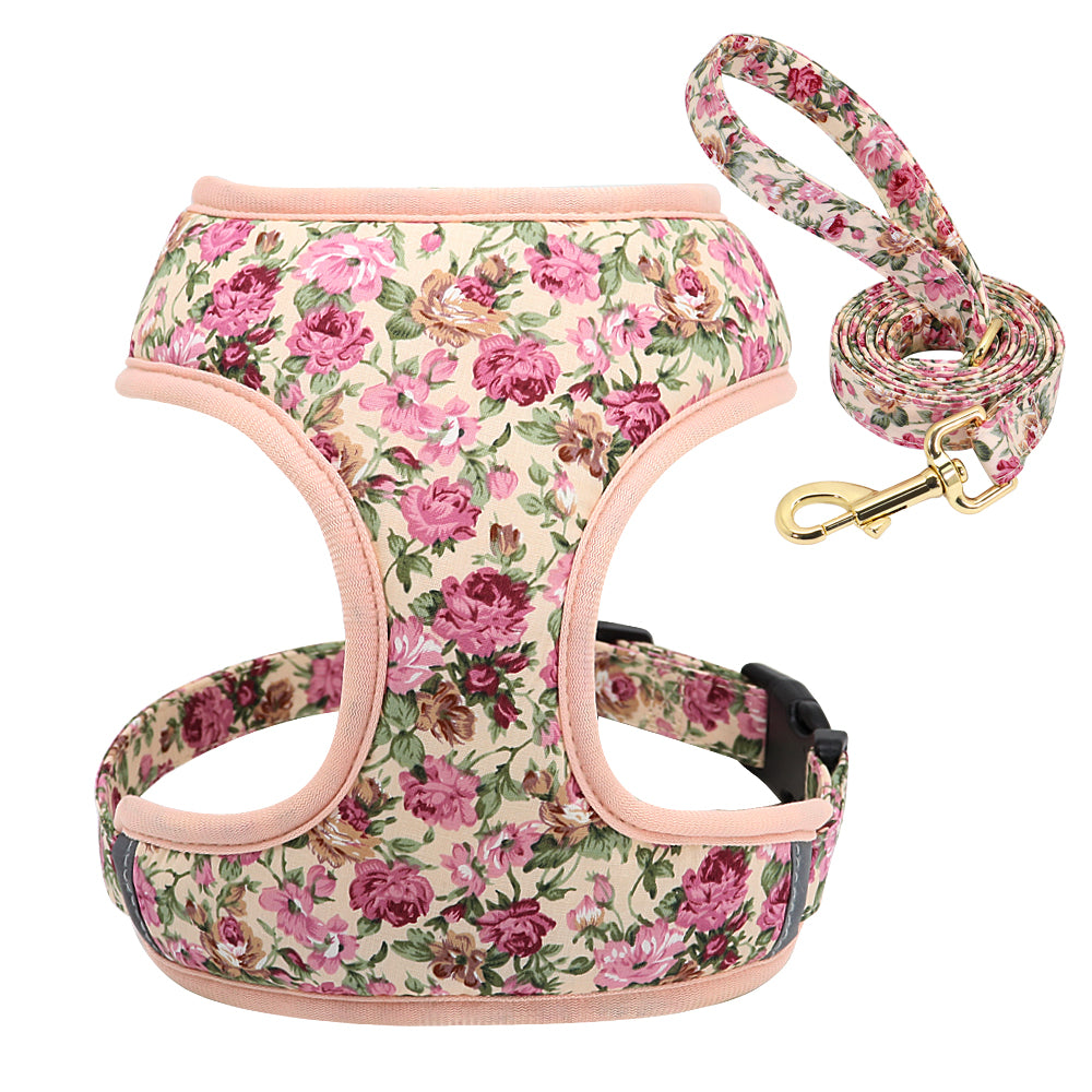 Dog Leash for Shiba Inu & Pomeranian Puppies