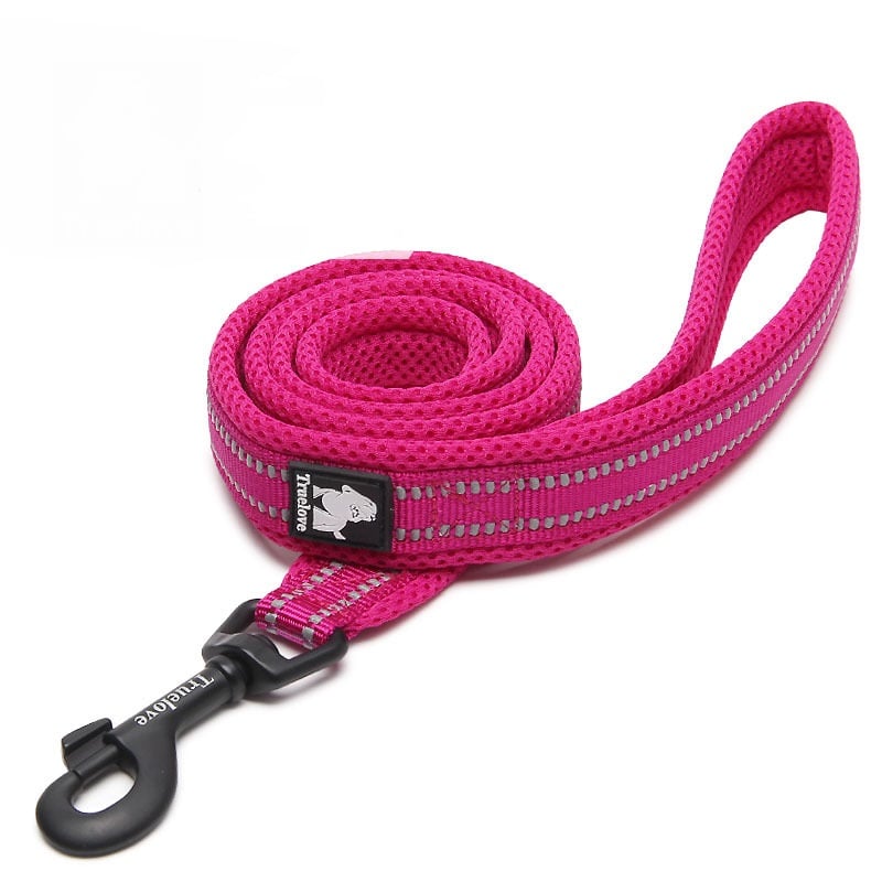 Dog Leash to Prevent Loss and Keep Your Pet Safe