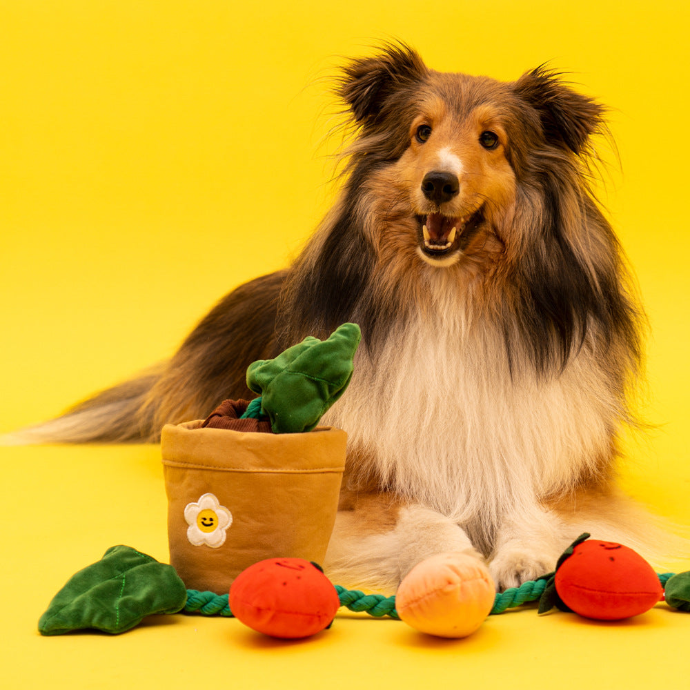Strawberry Potted Plant Set with Pull Toy
