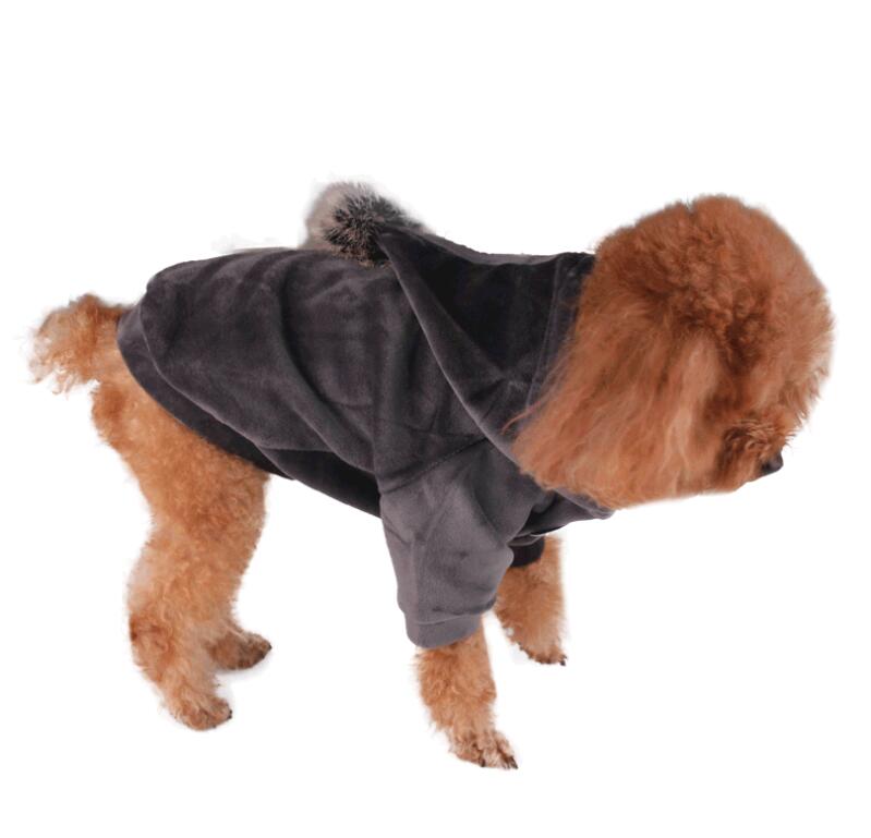 Pet Clothing for Dogs and Halloween Costumes for Cats