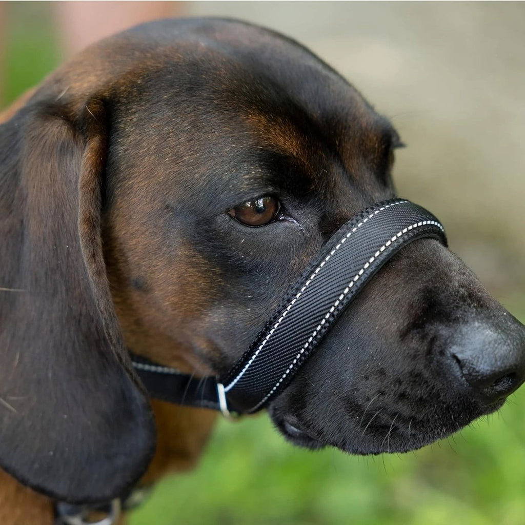 Anti-Bite Muzzle Leash for Dogs with Waste Bag Dispenser