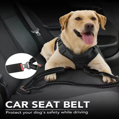 Tactical Dog Leash – Heavy-Duty & Secure