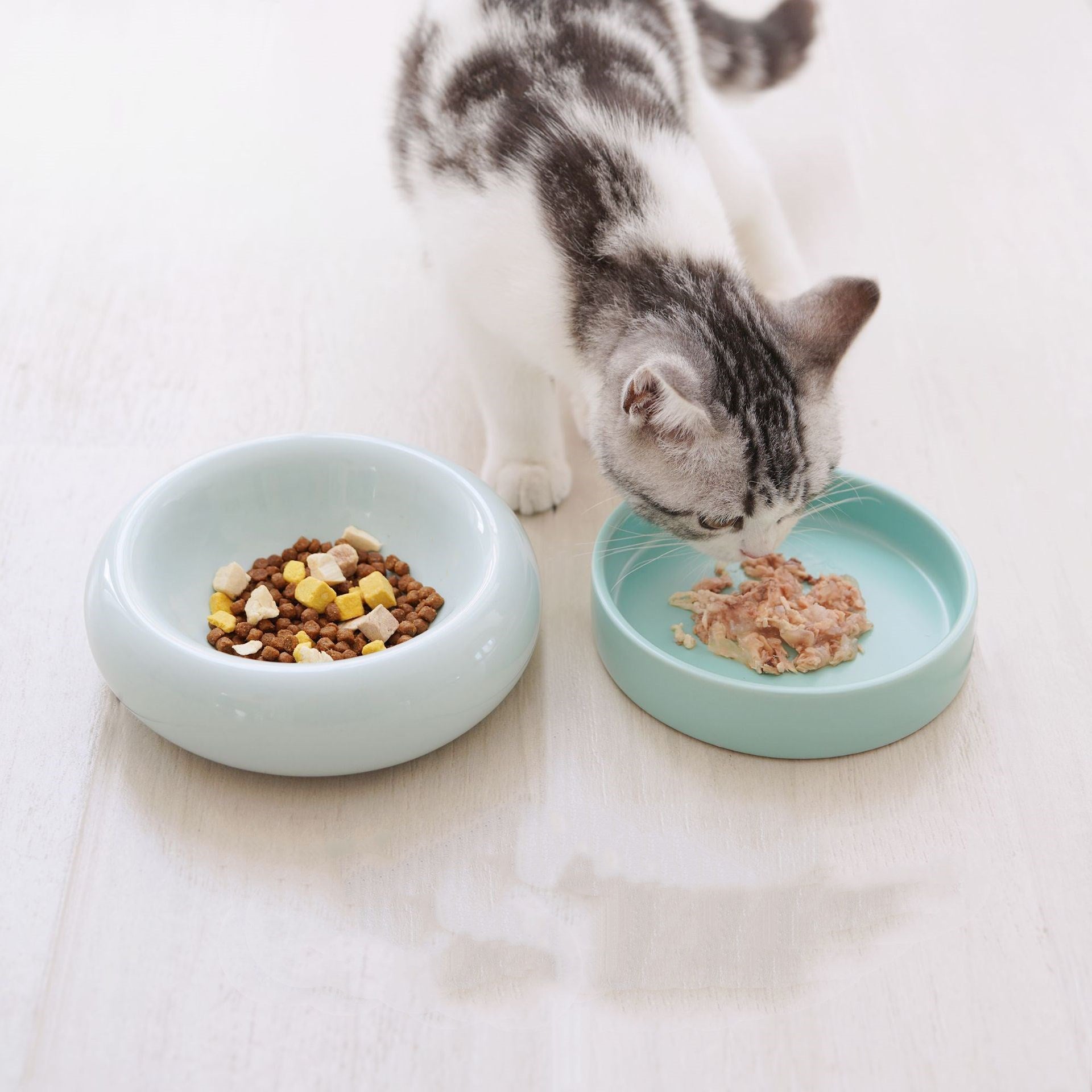 Ceramic Cat Bowl Set with Stand for Spinal Support