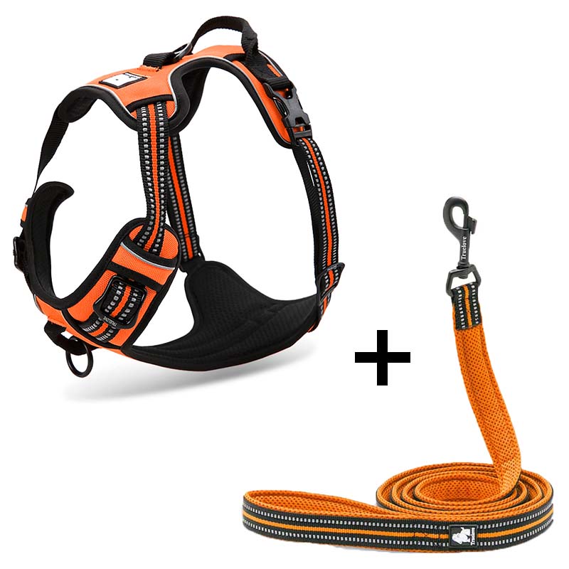 Dog Harness with Traction for Safe Walking