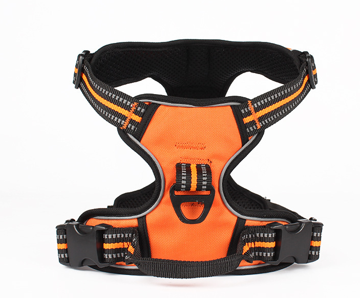 Reflective Traction Rope, Explosion-Proof Bear Leash