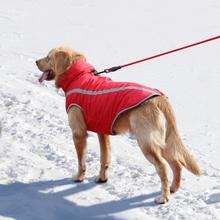 French Cotton Dog Clothes for Fall and Winter