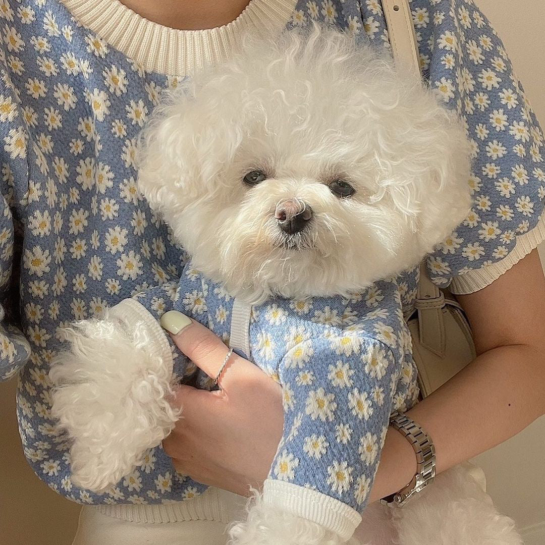 Cute and Simple Printed Clothes for Dogs