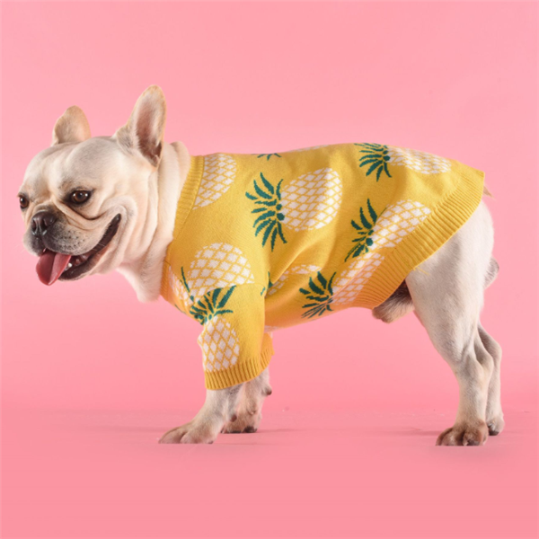 Cute Warm Dog Sweater - Pineapple Knit Design