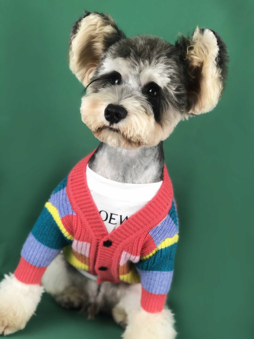 Rainbow Stripe Cardigan for Dogs (Dog Sweater)