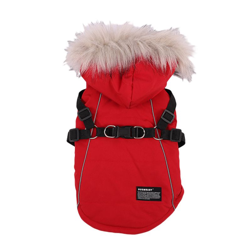 Dog Outfit with Fur Tie, Hat, and Vest