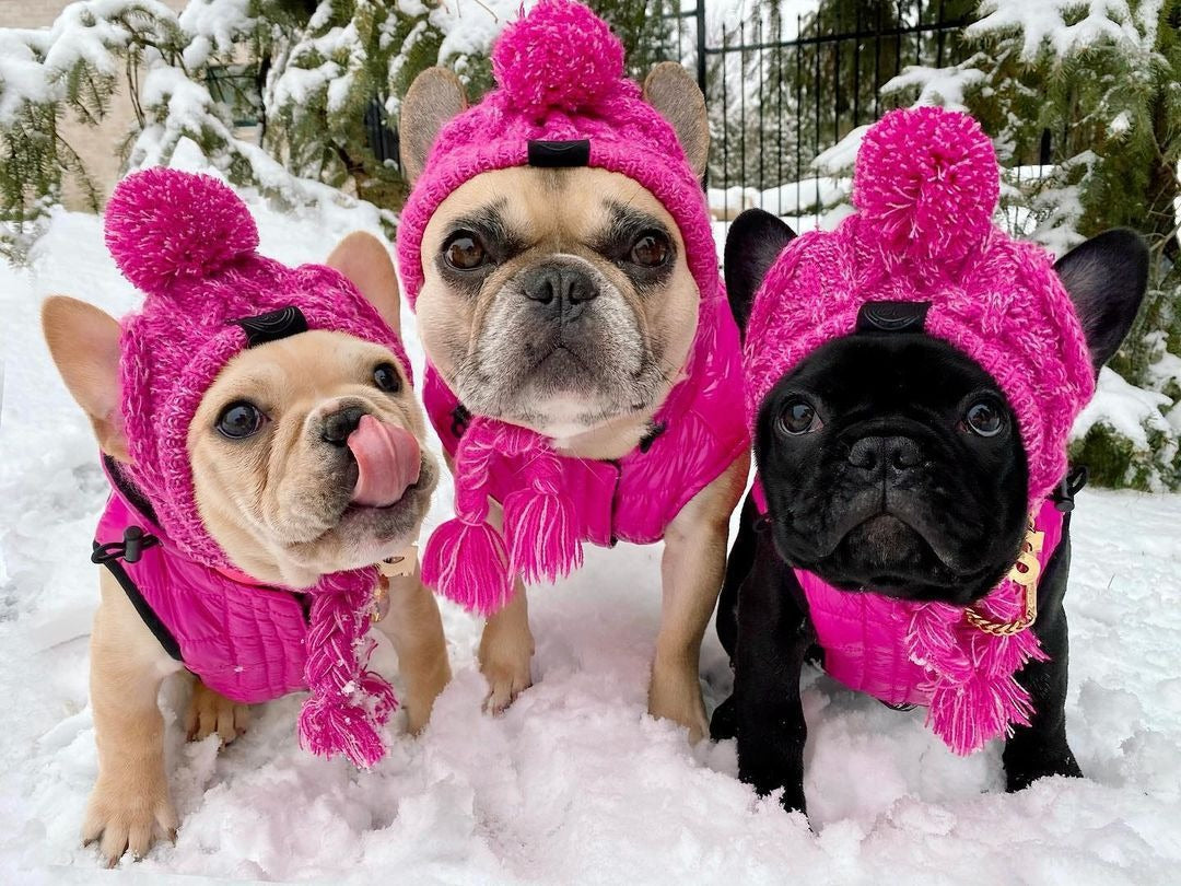Wool Ball Knitted Dog Hat