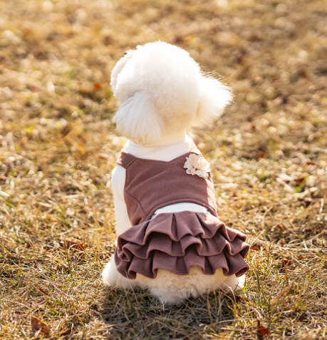 Korean Woolen Princess Dress for Teddy Dog