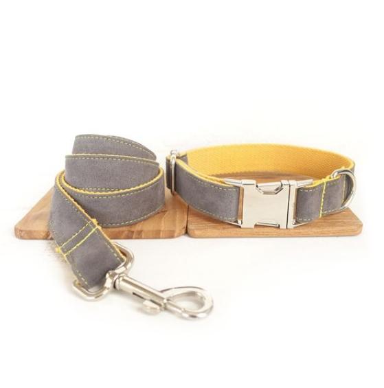 Leash and Collar Set for Dogs