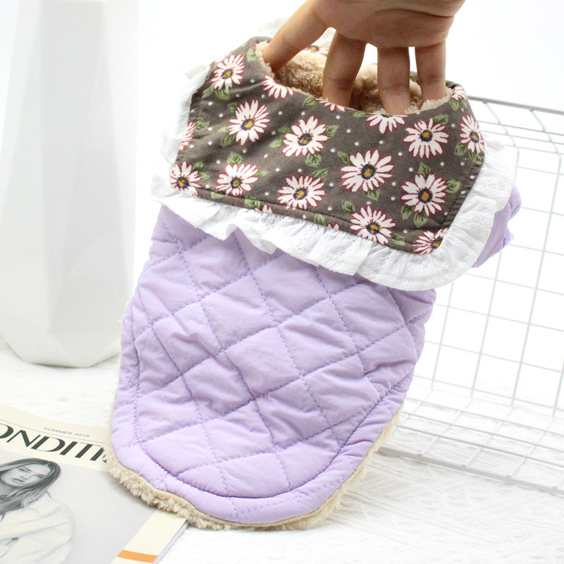 Winter Clothes for Small Dogs with Daisy Collar