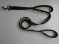 Double Handle Pet Pull Leash