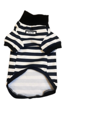 Striped Elastic and Comfortable Pet Apparel