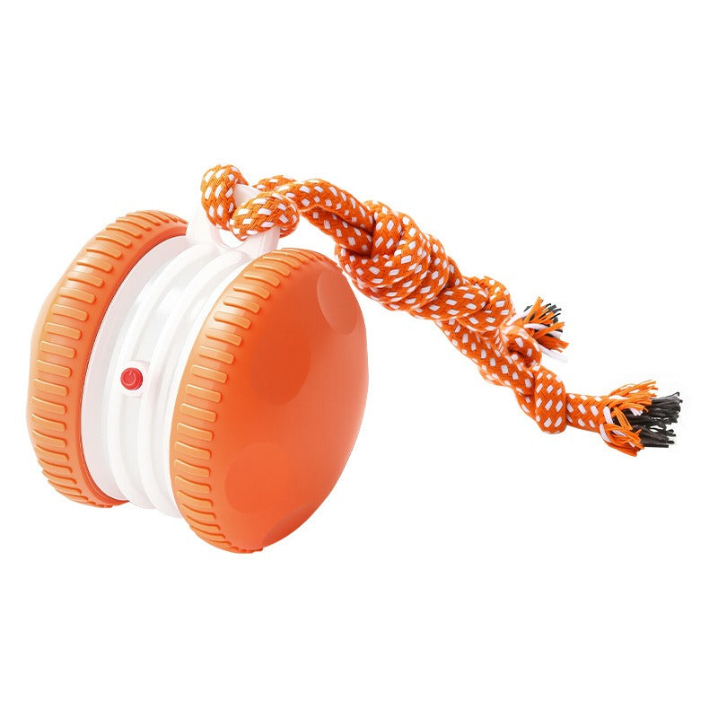 Rechargeable Pet Rolling Toy Ball