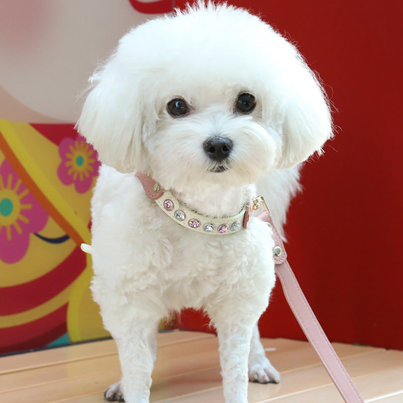 Diamond Chest Back Suit for Dogs and Cats in PU Leather