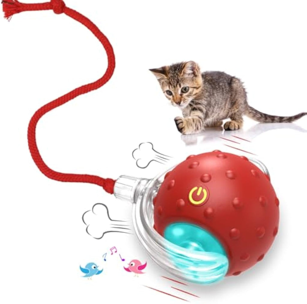 Interactive Motion Cat Toy with Sound - Red