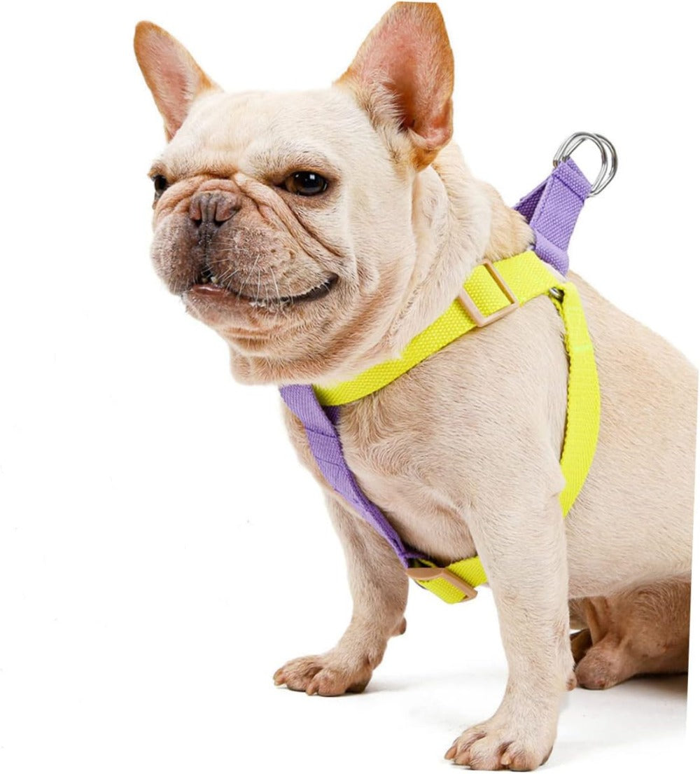 No-Pull Nylon Dog Harness & Leash Set