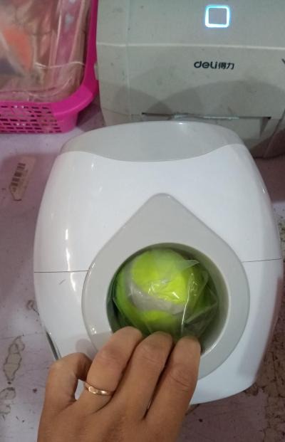 Interactive Pet Tennis Ball Feeder