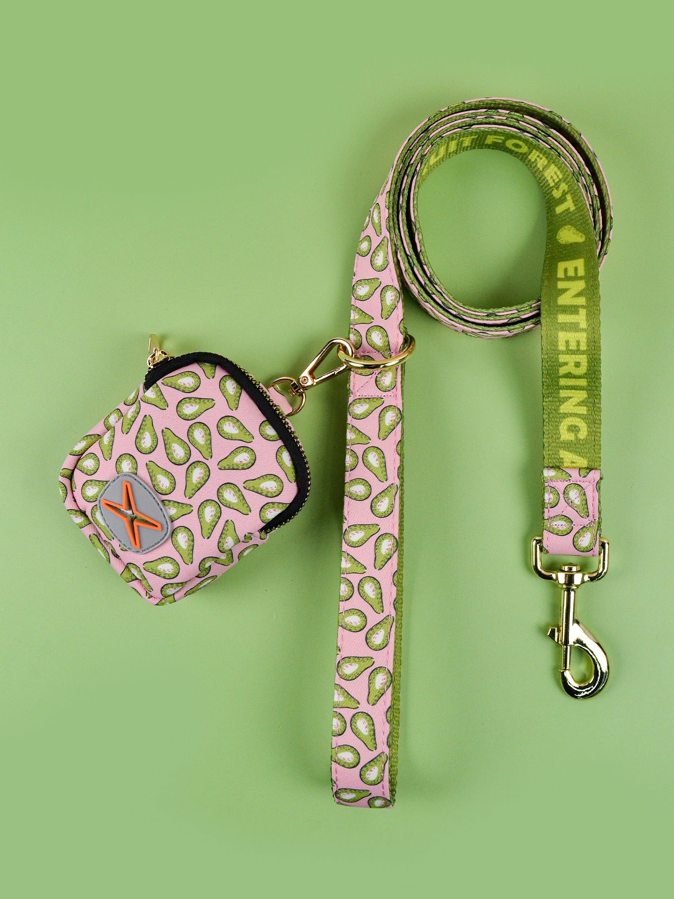 Dog Leash & Poop Bag Holder Set
