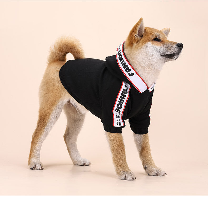 Trendy Clothing for Small and Medium Dogs