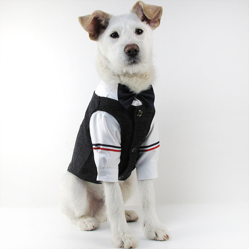 Dog Suit for French Bulldogs - Pet Wedding Attire