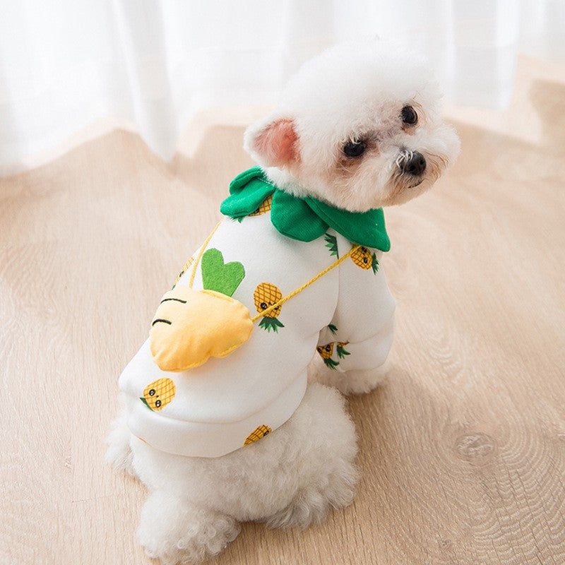 Cute Cartoon Pet Clothes for Autumn and Winter Fashion