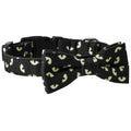 Skull Bat Pet Leash and Collar Accessories