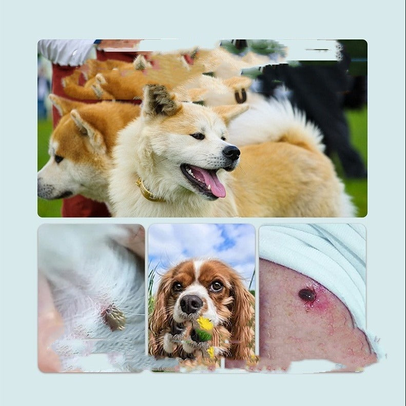 Flea & Tick Collar for Dogs