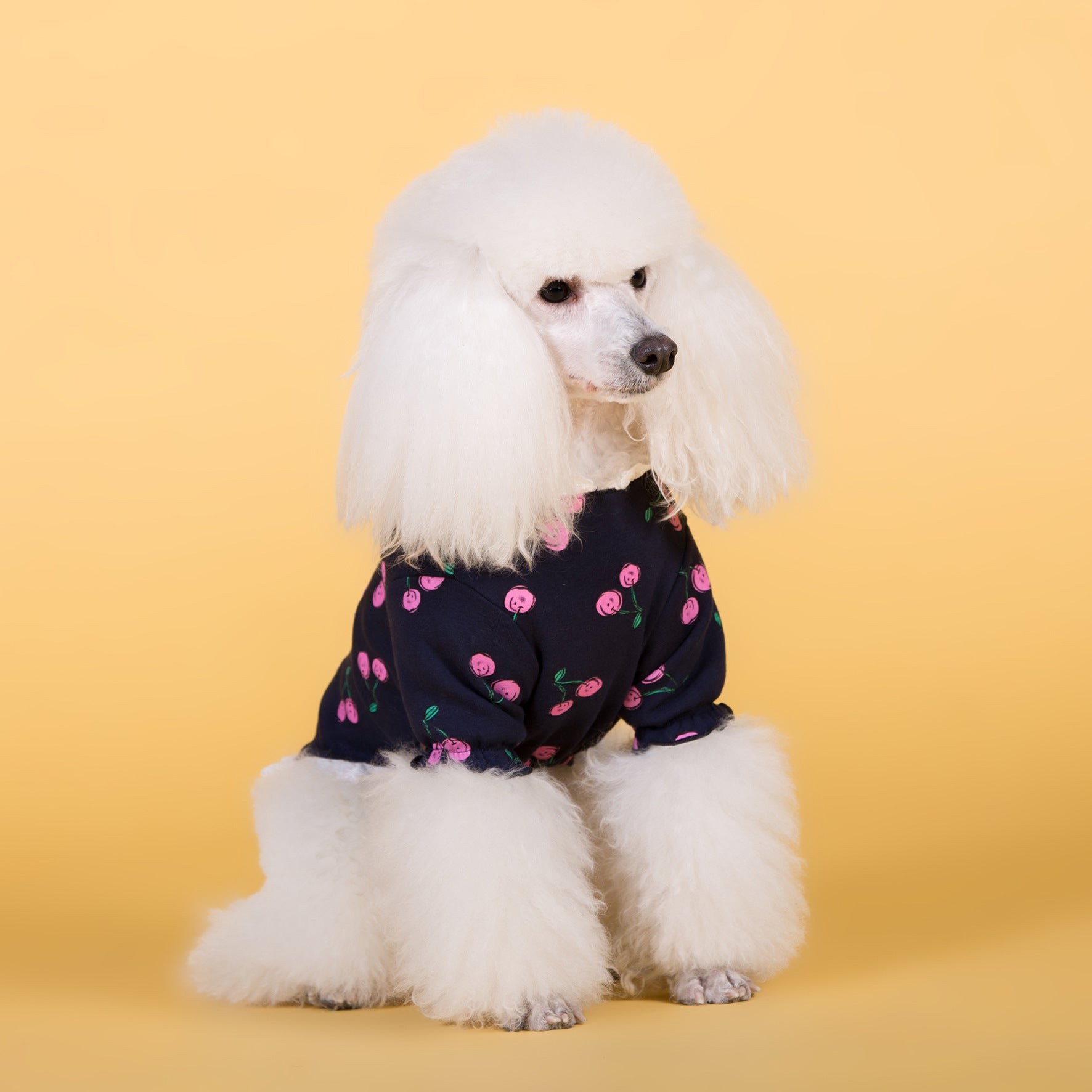 Spring Summer New Dog Cotton Stretch T-Shirt for Pets