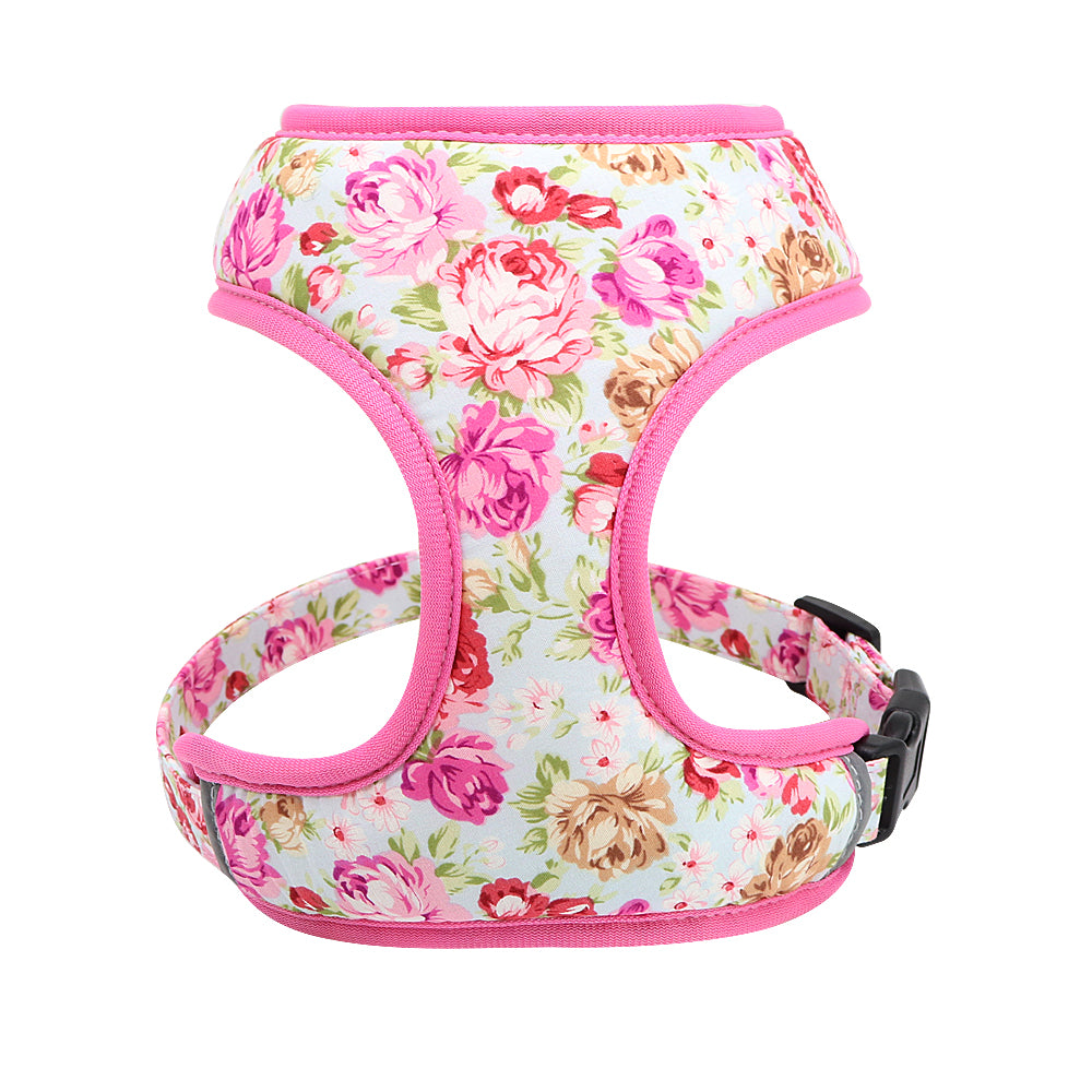 Dog Leash for Shiba Inu & Pomeranian Puppies