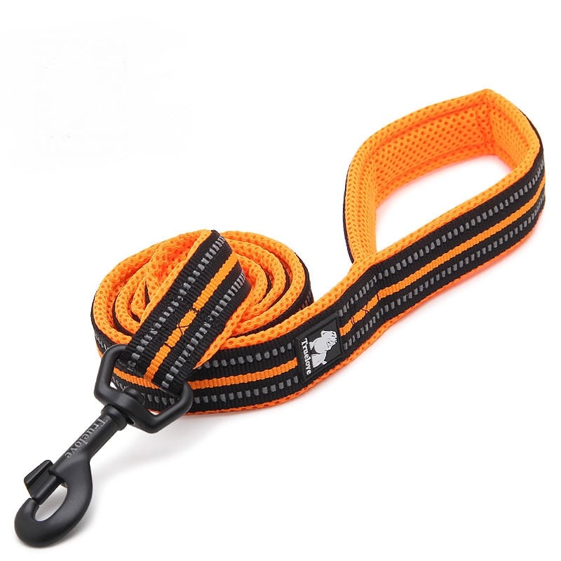 Dog Leash to Prevent Loss and Keep Your Pet Safe