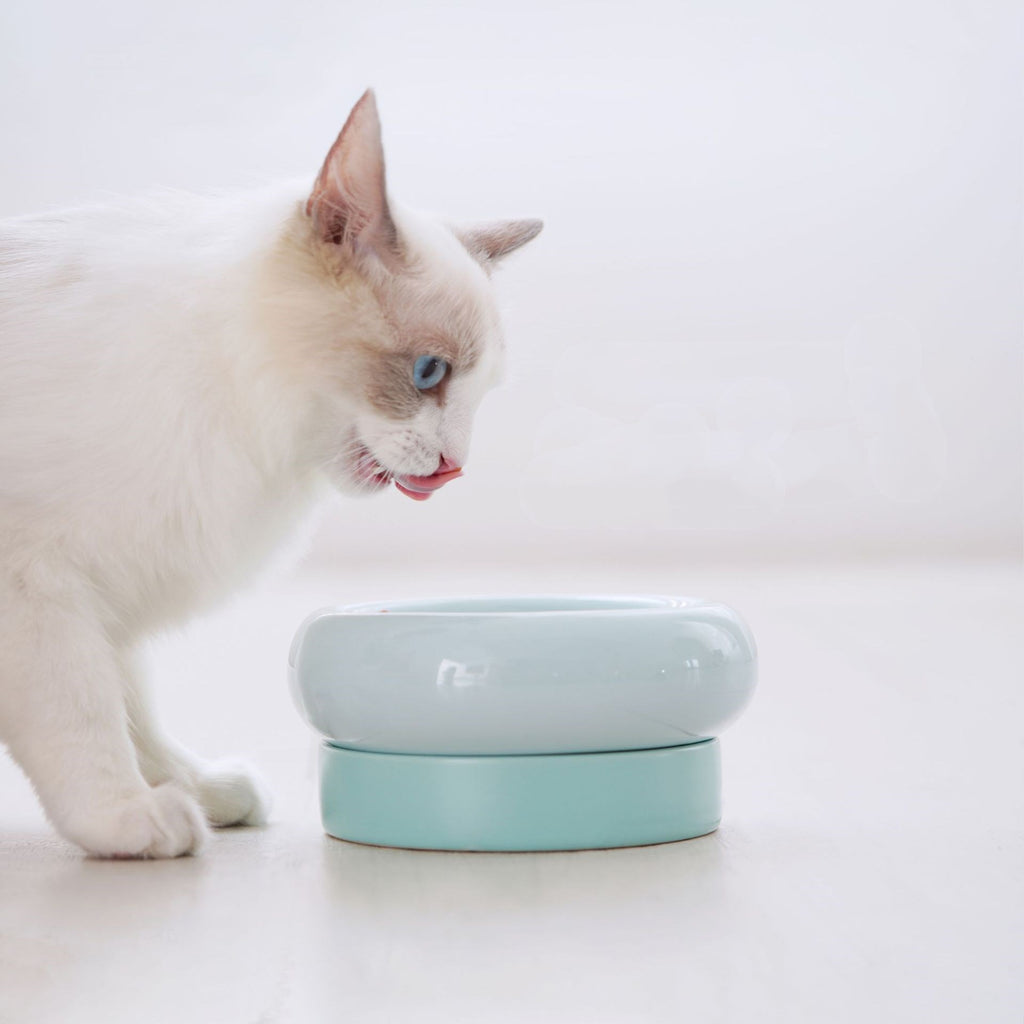 Ceramic Cat Bowl Set with Stand for Spinal Support