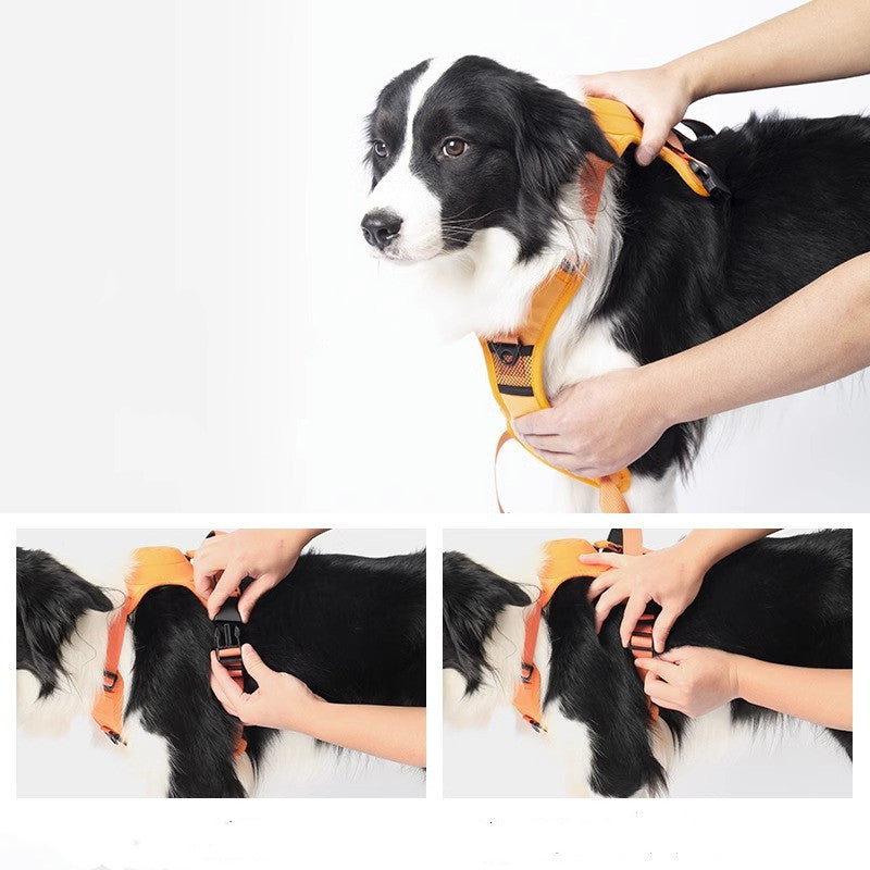 Adjustable Dog Harness with Leash