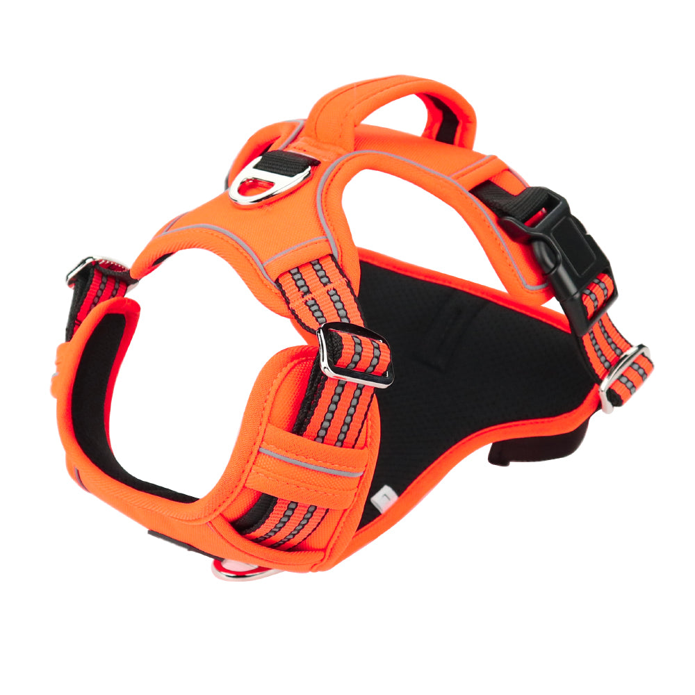 Pet Sports Chest Strap - Explosion-Proof Design