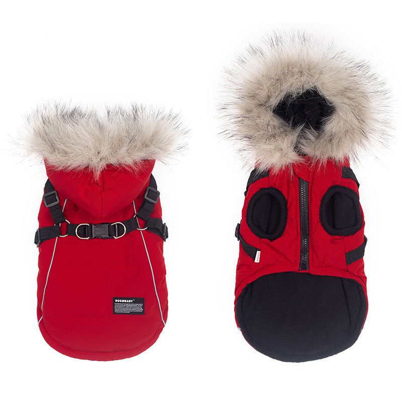 Teddy Bichon Pet Cotton Coat for Autumn and Winter